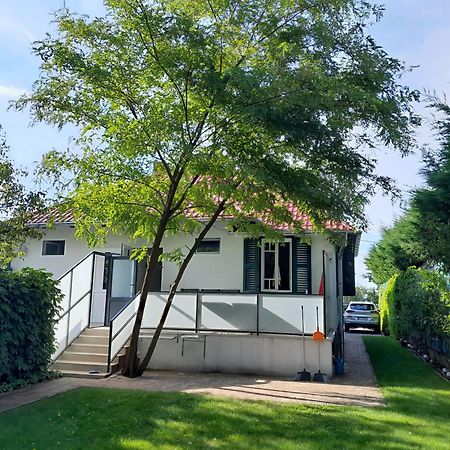 Traumlage Direkt Am See Balatonszárszó Eksteriør billede